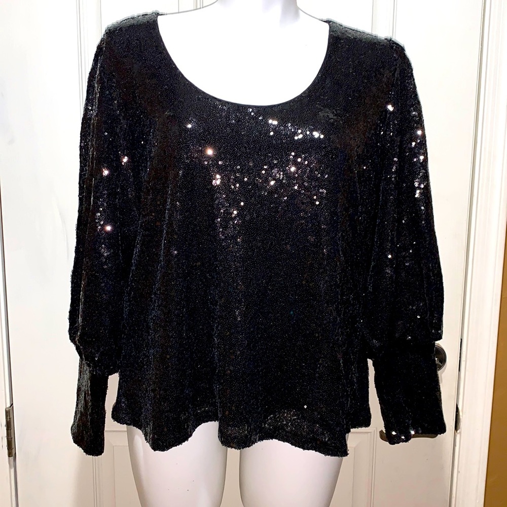 Classic Long Blouson Sleeve Scoop